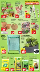 Gazetka promocyjna Thomas Philipps - Gazetka - ważna od 10.02 do 10.02.2024 - strona 3 - produkty: Abba, Bau, bio, blume, blumen, blumenerde, Blüte, dünger, eis, elle, erde, Garten, Gewächshaus, handschuhe, Holz, kokos, kräuter, LG, oder kräuter, pflanze, pflanzen, pflanzerde, Rauch, reis, rind, rinder, rosen, sac, Schere, schuhe, Ti, tomate, tomaten, topf, und gemüse, vorteilspreis