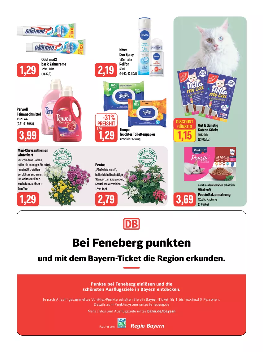 Aktueller Prospekt Feneberg - Prospekte - von 27.07 bis 29.07.2023 - strona 10 - produkty: Blüte, chrysanthemen, creme, decke, deo, deo spray, discount, eis, elle, feinwaschmittel, feuchtes toilettenpapier, katzennahrung, kraft, LG, nivea, Odol, odol med, odol med3, papier, perwoll, Rauch, reis, Tempo, Ti, toilettenpapier, topf, vita, vitakraft, waschmittel, zahncreme