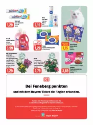 Gazetka promocyjna Feneberg - Prospekte - Gazetka - ważna od 29.07 do 29.07.2023 - strona 10 - produkty: Blüte, chrysanthemen, creme, decke, deo, deo spray, discount, eis, elle, feinwaschmittel, feuchtes toilettenpapier, katzennahrung, kraft, LG, nivea, Odol, odol med, odol med3, papier, perwoll, Rauch, reis, Tempo, Ti, toilettenpapier, topf, vita, vitakraft, waschmittel, zahncreme