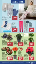 Gazetka promocyjna Aldi Nord - Von Montag - Gazetka - ważna od 15.11 do 15.11.2025 - strona 27 - produkty: aust, Bau, baumwolle, Berger, Blüte, Brei, elle, garnitur, gin, hose, kerze, Kranz, kulturtopf, leggings, LG, pflanze, Pyjama, reine baumwolle, Ria, Schal, Schale, socken, tee, Ti, topf, up2fashion, wolle, ZTE, zwiebel