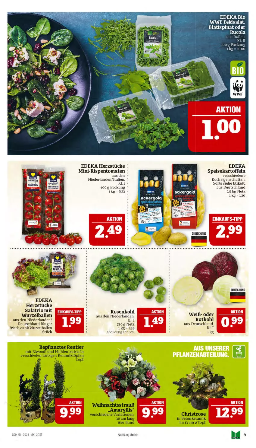 Aktueller Prospekt Marktkauf - Prospekt - von 15.12 bis 21.12.2024 - strona 9 - produkty: ackergold, ball, bio, deka, edeka bio, eis, feldsalat, kartoffel, kartoffeln, mini-rispentomaten, Ria, rispentomaten, rosen, Rosenkohl, rotkohl, salat, speisekartoffeln, Ti, tomate, tomaten, topf, ZTE