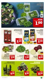 Gazetka promocyjna Marktkauf - Prospekt - Gazetka - ważna od 21.12 do 21.12.2024 - strona 9 - produkty: ackergold, ball, bio, deka, edeka bio, eis, feldsalat, kartoffel, kartoffeln, mini-rispentomaten, Ria, rispentomaten, rosen, Rosenkohl, rotkohl, salat, speisekartoffeln, Ti, tomate, tomaten, topf, ZTE