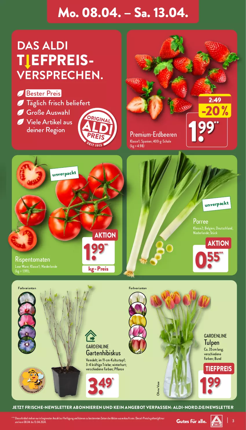 Aktueller Prospekt Aldi Nord - Von Montag - von 08.04 bis 13.04.2024 - strona 3 - produkty: aldi, angebot, beere, beeren, Blüte, Brei, eis, erdbeere, erdbeeren, Garten, kulturtopf, LG, pflanze, reis, Ria, rispentomaten, Schal, Schale, Ti, tiefpreis, tomate, tomaten, topf, Vase, ZTE