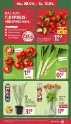 Gazetka promocyjna Aldi Nord - Von Montag - Gazetka - ważna od 13.04 do 13.04.2024 - strona 3 - produkty: aldi, angebot, beere, beeren, Blüte, Brei, eis, erdbeere, erdbeeren, Garten, kulturtopf, LG, pflanze, reis, Ria, rispentomaten, Schal, Schale, Ti, tiefpreis, tomate, tomaten, topf, Vase, ZTE