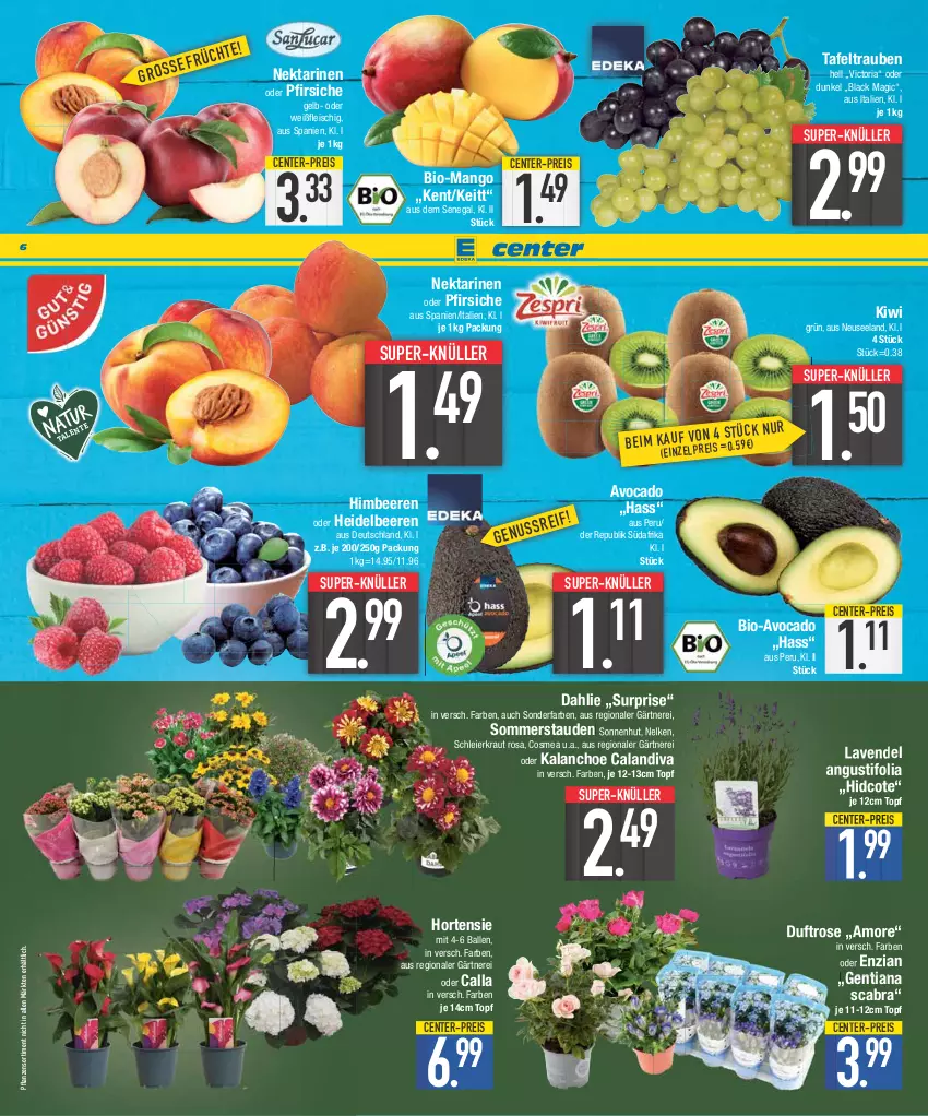 Aktueller Prospekt E Center - Angebote der Woche - von 10.07 bis 15.07.2023 - strona 6 - produkty: avocado, ball, beere, beeren, bio, cosmea, dahlie, eier, eis, Elan, ente, fleisch, heidelbeere, heidelbeeren, himbeer, himbeere, himbeeren, hortensie, Kalanchoe, kiwi, Kraut, lack, lavendel, mango, Nektar, nektarinen, nektarinen oder, oder pfirsiche, pfirsich, pfirsiche, pflanze, pflanzen, reis, Ria, stauden, super-knüller, tafeltrauben, Ti, topf, trauben