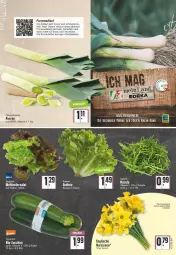 Gazetka promocyjna Edeka - Angebote der Woche - Gazetka - ważna od 12.03 do 12.03.2022 - strona 7 - produkty: angebot, ball, bio, bio-zucchini, blume, blumen, cheddar, frischkäse, kartoffel, kartoffeln, Käse, LG, Narzissen, salat, Soße, Ti, uhr, zucchini