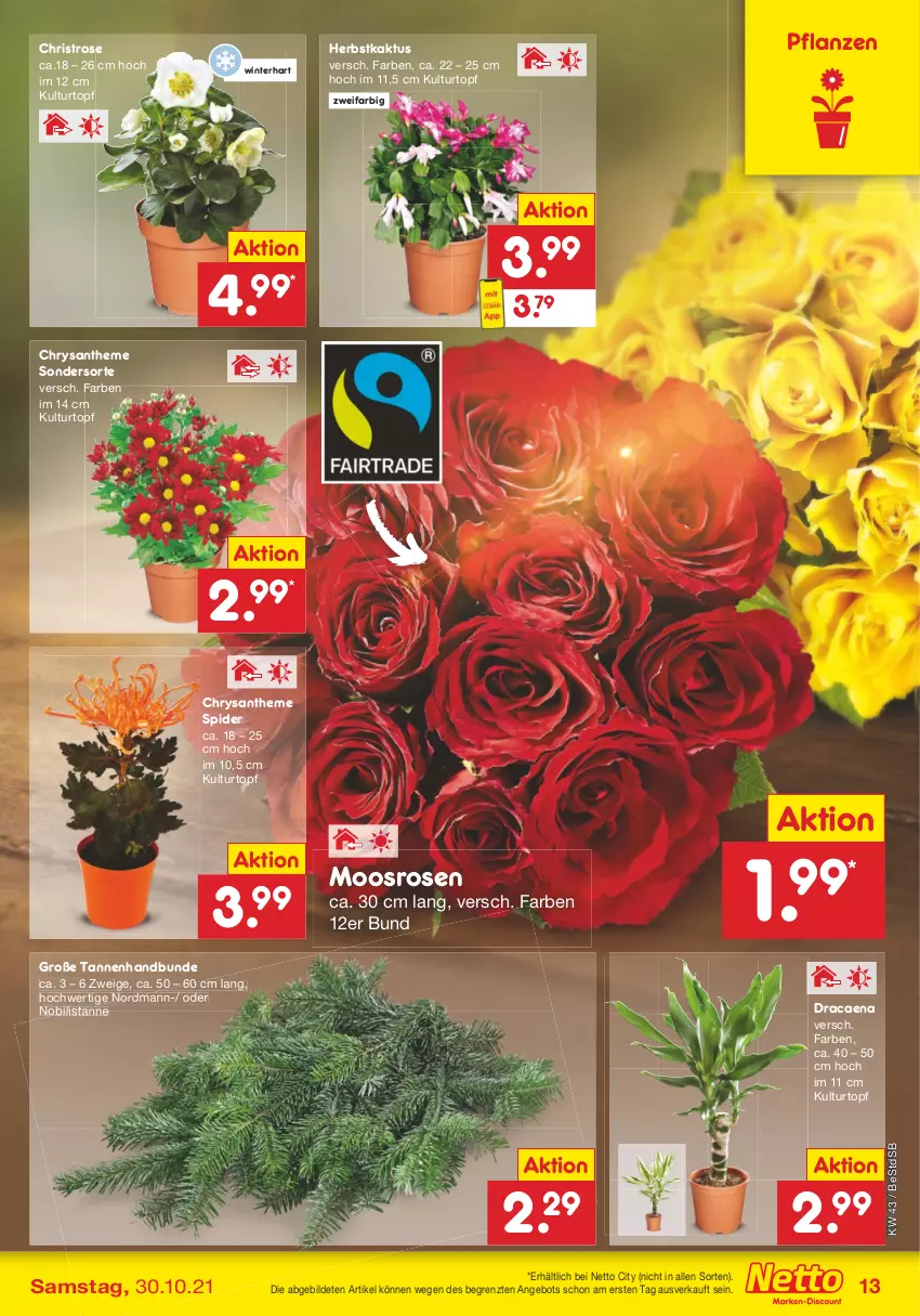 Aktueller Prospekt Netto Marken-Discount - Filial Angebote - von 25.10 bis 30.10.2021 - strona 13