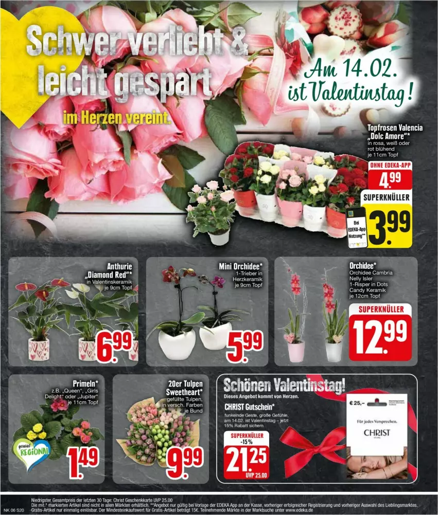 Aktueller Prospekt Edeka - Prospekte - von 05.02 bis 10.02.2024 - strona 20 - produkty: angebot, bier, deka, eier, eis, LG, orchidee, reis, Ria, rosen, Ti, topf, ZTE