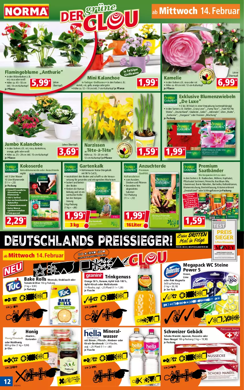 Aktueller Prospekt Norma - Norma - von 12.02 bis 19.02.2024 - strona 12 - produkty: Alwa, apfel, banane, basilikum, Birnen, blume, blumen, blumenerde, Blüte, dahlie, eis, erde, flasche, Garten, Gießkanne, Gladiolen, himbeer, honig, jumbo, Kalanchoe, Kinder, kirsch, knoblauch, kokos, kopfsalat, Koriander, kräuter, kulturtopf, LG, löwenmaul, mac, mandel, meersalz, mineralwasser, möhren, Narzissen, natur, nuss, olive, orange, petersilie, pfirsich, pflanze, pflanzen, radieschen, reis, reiss, Ria, salat, salz, schoko, Ti, tomate, topf, übertopf, usb, vita, wasser, Yo, zwiebel, zwiebeln