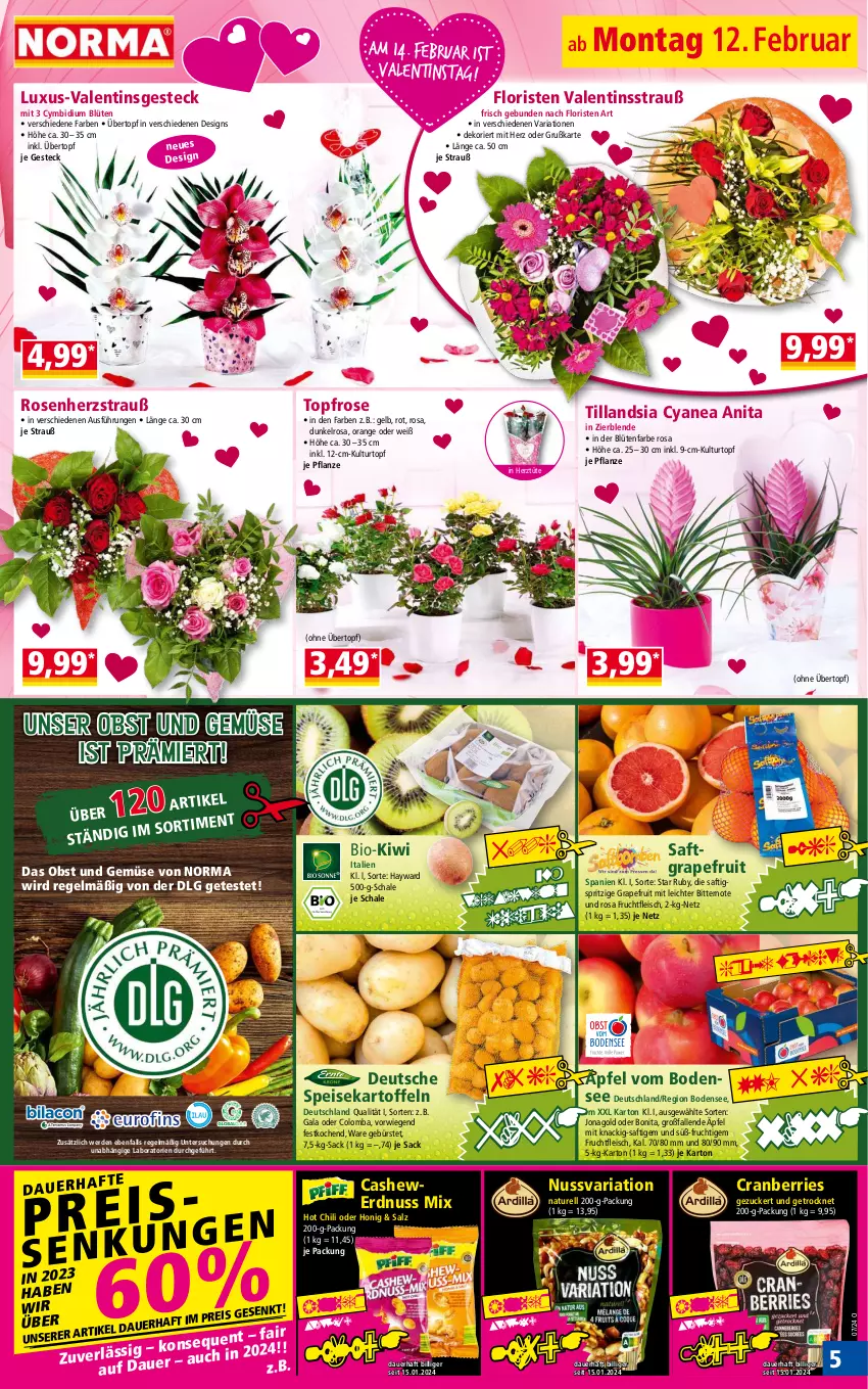 Aktueller Prospekt Norma - Norma - von 12.02 bis 19.02.2024 - strona 5 - produkty: auer, bio, Blüte, bonita, bürste, Cashew, chili, cranberries, eis, erde, erdnuss, fleisch, frucht, fruchtfleisch, grapefruit, honig, hot chili, kartoffel, kartoffeln, kiwi, kulturtopf, LG, natur, nuss, obst, Obst und Gemüse, orange, pflanze, reis, rel, Ria, rosen, sac, saft, salz, Schal, Schale, speisekartoffeln, Ti, tiefpreis, topf, Tüte, übertopf, und gemüse, zucker