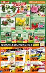 Gazetka promocyjna Norma - Norma - Gazetka - ważna od 19.02 do 19.02.2024 - strona 12 - produkty: Alwa, apfel, banane, basilikum, Birnen, blume, blumen, blumenerde, Blüte, dahlie, eis, erde, flasche, Garten, Gießkanne, Gladiolen, himbeer, honig, jumbo, Kalanchoe, Kinder, kirsch, knoblauch, kokos, kopfsalat, Koriander, kräuter, kulturtopf, LG, löwenmaul, mac, mandel, meersalz, mineralwasser, möhren, Narzissen, natur, nuss, olive, orange, petersilie, pfirsich, pflanze, pflanzen, radieschen, reis, reiss, Ria, salat, salz, schoko, Ti, tomate, topf, übertopf, usb, vita, wasser, Yo, zwiebel, zwiebeln