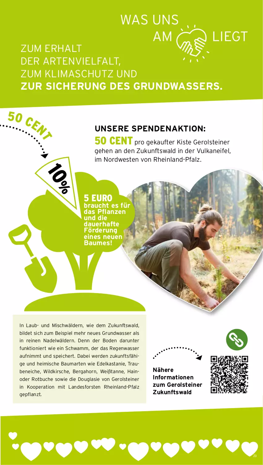Aktueller Prospekt Wasgau - von 29.09 bis 04.10.2025 - strona 23 - produkty: auer, Bau, buch, eis, erde, gerolsteine, gerolsteiner, kirsch, kirsche, pflanze, pflanzen, Rauch, schwamm, steiner, Ti, trauben, wasser, Weste, Wild