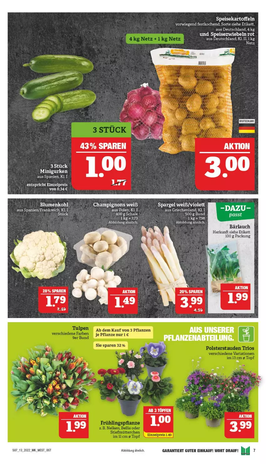 Aktueller Prospekt Marktkauf - Prospekt - von 27.03 bis 02.04.2022 - strona 7 - produkty: blume, blumen, blumenkohl, champignon, champignons, eis, kartoffel, kartoffeln, spargel, speisekartoffeln, Speisezwiebeln, Ti, zwiebel, zwiebeln