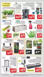 Gazetka promocyjna Marktkauf - Prospekt - Gazetka - ważna od 02.04 do 02.04.2022 - strona 37 - produkty: auto, bambus, Bau, Behälter, beutel, blume, blumen, buch, deka, edelstahl, eis, Elektro, elle, ente, Garten, Holz, HP, kräuter, küche, leine, leuchtmittel, messer, pflanze, pflanzen, reis, rum, Schal, Schale, Schere, schlauch, schneidebrett, sim, Spektrum, teller, Ti, timer, tisch, und gemüse, Vakuumierer, werkzeug, Zerkleinerer