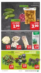 Gazetka promocyjna Marktkauf - Prospekt - Gazetka - ważna od 02.04 do 02.04.2022 - strona 7 - produkty: blume, blumen, blumenkohl, champignon, champignons, eis, kartoffel, kartoffeln, spargel, speisekartoffeln, Speisezwiebeln, Ti, zwiebel, zwiebeln