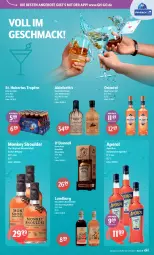 Gazetka promocyjna Getraenke Hoffmann - Prospekte - Gazetka - ważna od 11.10 do 11.10.2025 - strona 5 - produkty: angebot, angebote, aperitif, aperol, apfel, eis, gin, grana, granatapfel, kirsch, Kirschlikör, kräuter, likör, lion, mac, nuss, Rana, reis, rum, scotch, scotch whisky, Ti, whisky