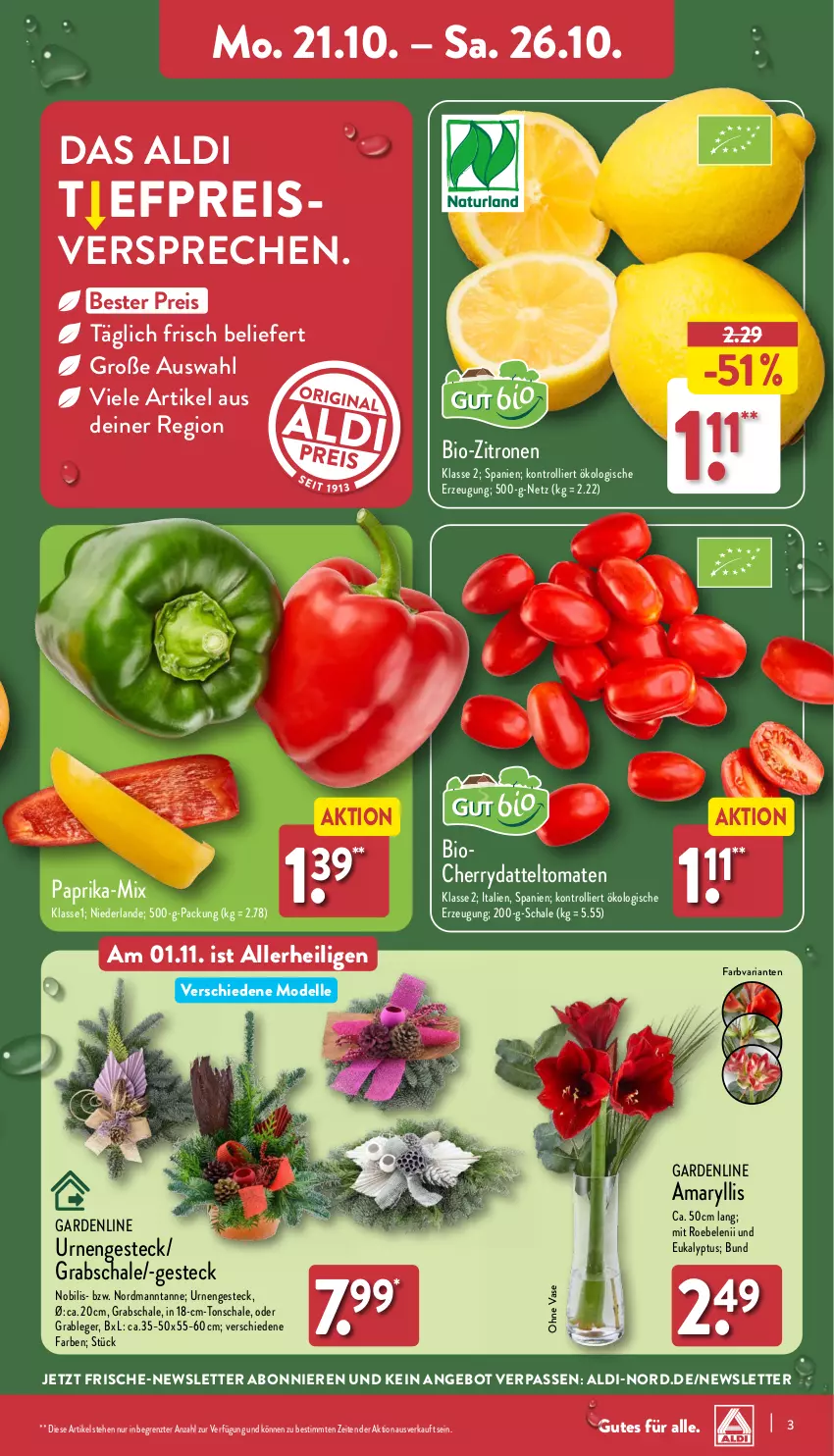 Aktueller Prospekt Aldi Nord - Von Montag - von 21.10 bis 26.10.2024 - strona 3 - produkty: aldi, angebot, bio, bio-zitronen, datteltomaten, dell, eis, elle, Grabschale, Mode, paprika, reis, Ria, Schal, Schale, Ti, tomate, tomaten, trolli, Vase, zitrone, zitronen, ZTE