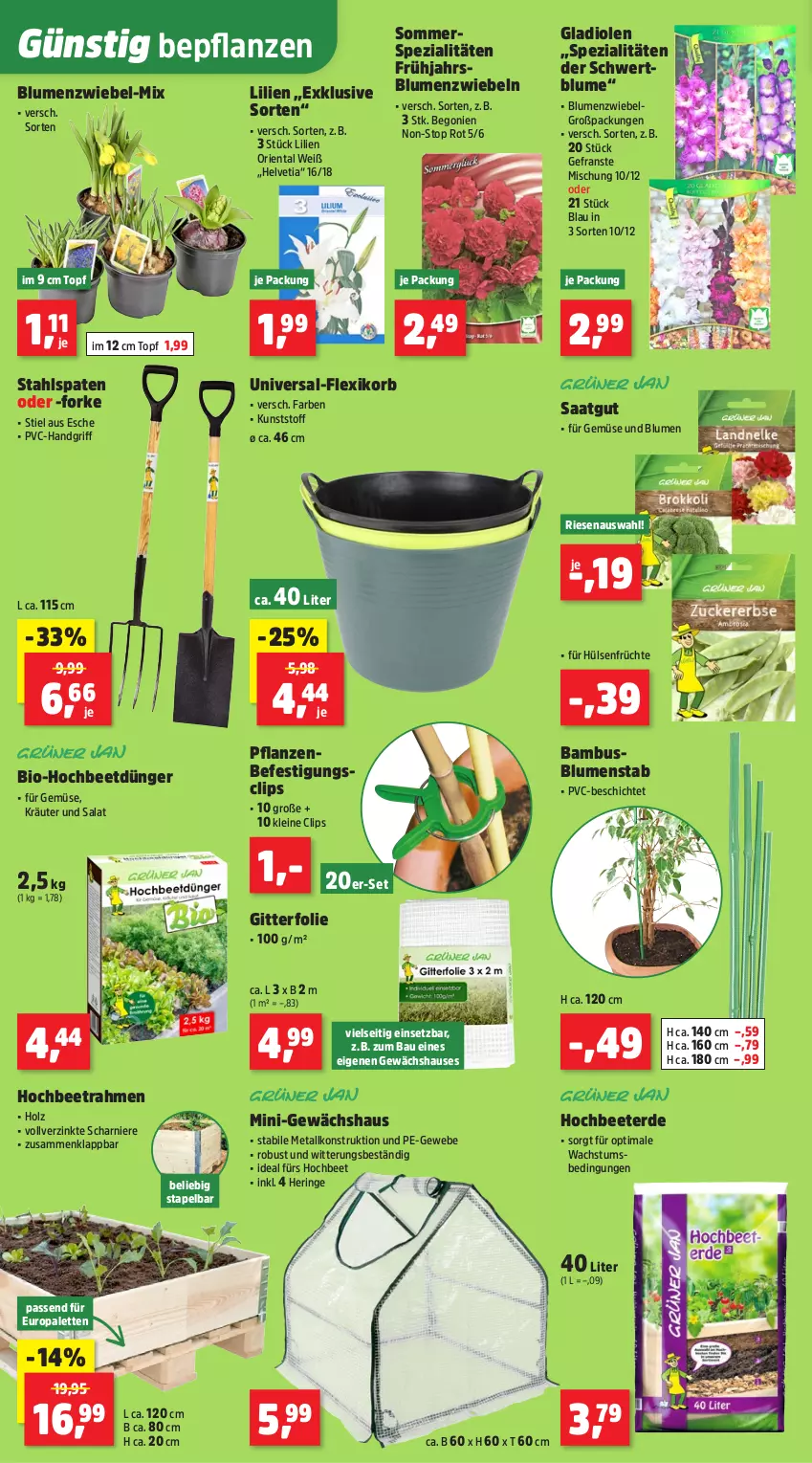 Aktueller Prospekt Thomas Philipps - von 09.02 bis 14.02.2026 - strona 4 - produkty: bambus, Bau, Begonie, bio, blume, blumen, dünger, erde, früchte, Gewächshaus, Gladiolen, hering, Holz, hülsenfrüchte, korb, kräuter, leine, LG, Palette, pflanze, pflanzen, ring, salat, senf, Spaten, Spezi, Ti, topf, usb, zwiebel, zwiebeln