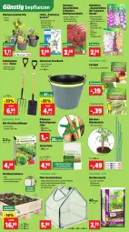 Gazetka promocyjna Thomas Philipps - Gazetka - ważna od 14.02 do 14.02.2026 - strona 4 - produkty: bambus, Bau, Begonie, bio, blume, blumen, dünger, erde, früchte, Gewächshaus, Gladiolen, hering, Holz, hülsenfrüchte, korb, kräuter, leine, LG, Palette, pflanze, pflanzen, ring, salat, senf, Spaten, Spezi, Ti, topf, usb, zwiebel, zwiebeln