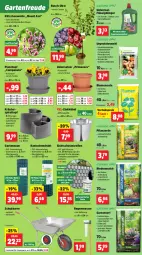 Gazetka promocyjna Thomas Philipps - Gazetka - ważna od 14.02 do 14.02.2026 - strona 5 - produkty: blume, blumen, blumenerde, Campanula, Draht, dünger, eis, ente, erde, flüssigdünger, frucht, Garten, Gartenpflanze, Kätzchen, Kraut, kräuter, Kugel, LG, Mantel, mehl, messer, obst, passend für alle, pflanze, pflanzen, pflanzerde, Rauch, reifen, reis, rind, rindenmulch, sac, Ti, tisch, topf, Untersetzer, vorteilspreis, wasser