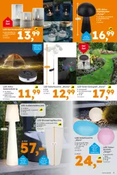 Gazetka promocyjna - Gazetka - ważna od 17.05 do 17.05.2025 - strona 5 - produkty: akku, blume, blumen, ente, fernbedienung, kerze, Kugel, lamm, Leuchte, Schal, solarleuchte, stehleuchte, Ti, tisch, tischleuchte, topf, WICK