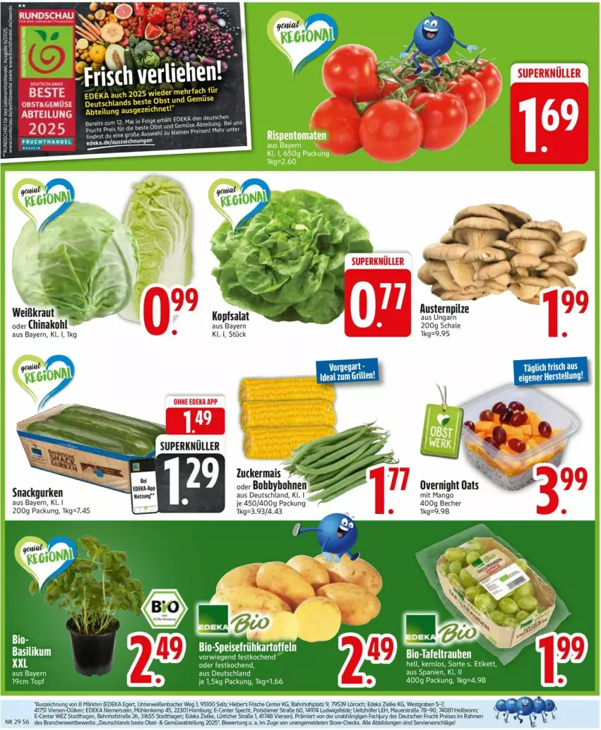 Aktueller Prospekt Edeka - Prospekte - von 14.07 bis 19.07.2025 - strona 6 - produkty: aust, Austern, Becher, bohne, bohnen, deka, ente, fisch, fische, gurke, gurken, kopfsalat, LG, mais, mango, pilze, rwe, salat, Schal, Schale, snack, Ti, topf, zucker, zuckermais