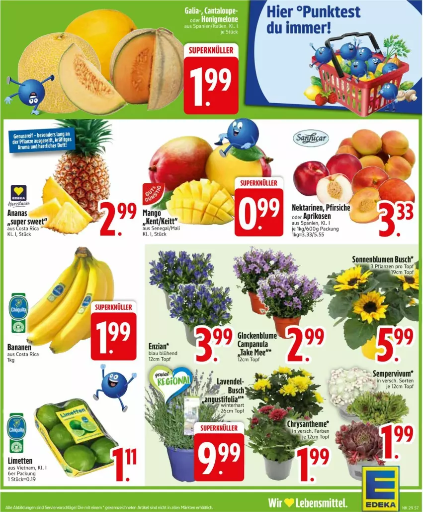 Aktueller Prospekt Edeka - Prospekte - von 14.07 bis 19.07.2025 - strona 7 - produkty: ananas, aprikose, aprikosen, banane, bananen, blume, blumen, Campanula, limette, limetten, mango, Mett, metten, Nektar, nektarinen, nuss, pflanze, pflanzen, Sempervivum, sonnenblume, sonnenblumen, Ti, topf