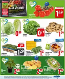Gazetka promocyjna Edeka - Prospekte - Gazetka - ważna od 19.07 do 19.07.2025 - strona 6 - produkty: aust, Austern, Becher, bohne, bohnen, deka, ente, fisch, fische, gurke, gurken, kopfsalat, LG, mais, mango, pilze, rwe, salat, Schal, Schale, snack, Ti, topf, zucker, zuckermais