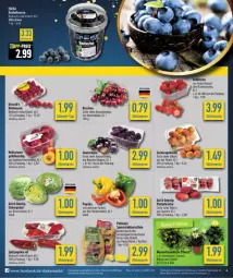 Gazetka promocyjna Diska - Gazetka - ważna od 13.07 do 13.07.2024 - strona 4 - produkty: aktionspreis, aprikose, aprikosen, beere, beeren, deka, eimer, eis, erdbeere, erdbeeren, fleisch, Frühkartoffeln, heidelbeere, heidelbeeren, himbeer, himbeere, himbeeren, kartoffel, kartoffeln, kirsch, kirsche, kirschen, Nektar, nektarinen, nuss, paprika, pfirsich, pfirsiche, plattpfirsiche, reis, salat, speisefrühkartoffeln, Spitzpaprika, Ti, zucker