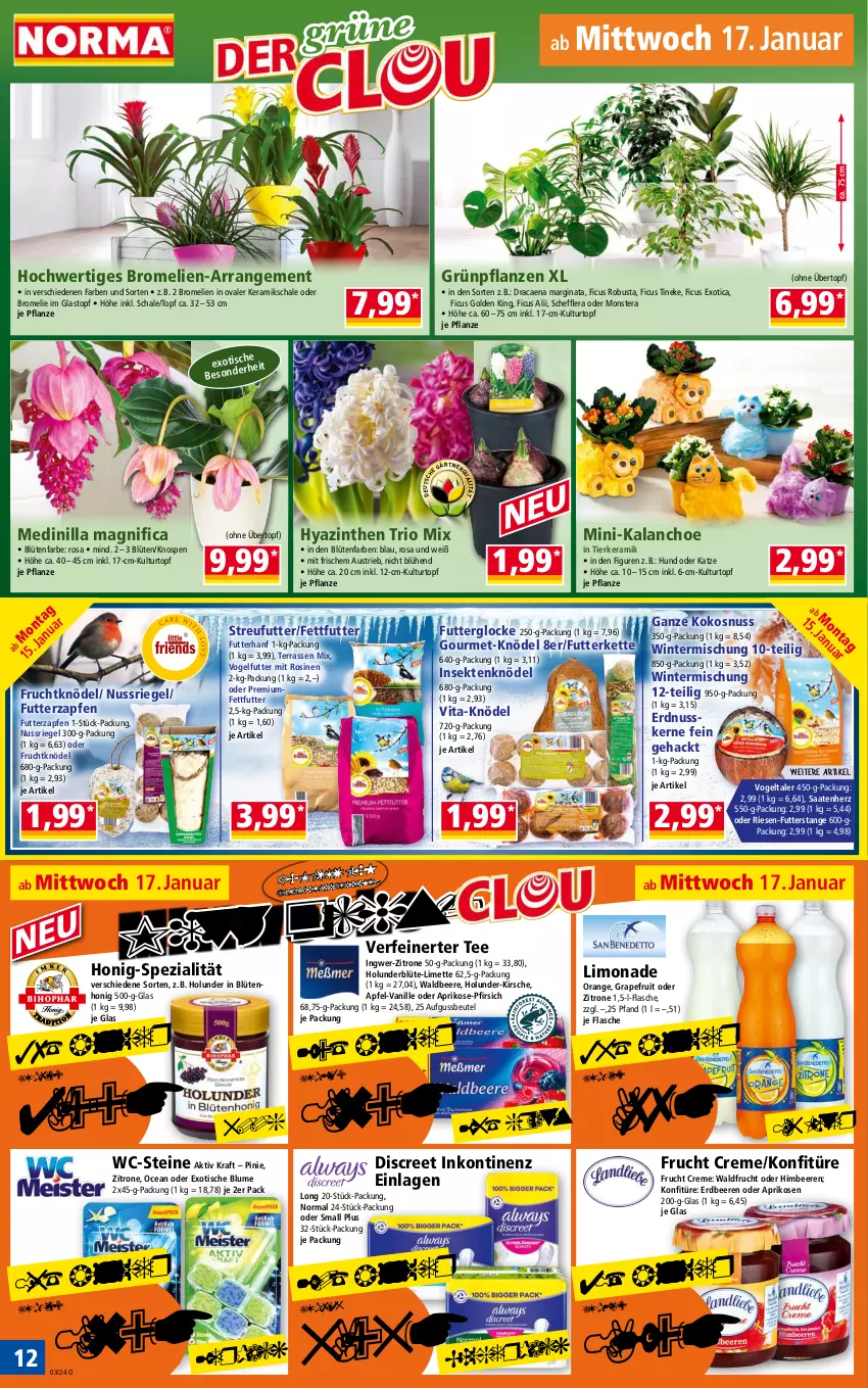 Aktueller Prospekt Norma - Norma - von 15.01 bis 22.01.2024 - strona 12 - produkty: apfel, aprikose, aprikosen, aust, beere, beeren, beutel, blume, Blüte, blütenhonig, Bromelie, creme, Discreet, erdbeere, erdbeeren, erdnuss, Ficus, flasche, frucht, gin, grapefruit, Grünpflanzen, himbeer, himbeere, himbeeren, holunder, holunderblüte, honig, ingwer, Kalanchoe, Kette, kirsch, kirsche, Knödel, kokos, kokosnuss, konfitüre, kraft, kulturtopf, limette, limo, limonade, Mett, monster, Monstera, nuss, nussriegel, orange, pfirsich, pflanze, pflanzen, riegel, Schal, Schale, sekt, Spezi, Streufutter, tee, Ti, tisch, topf, übertopf, vanille, vita, Vogelfutter, WC-Steine, zitrone