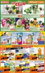 Gazetka promocyjna Norma - Norma - Gazetka - ważna od 22.01 do 22.01.2024 - strona 12 - produkty: apfel, aprikose, aprikosen, aust, beere, beeren, beutel, blume, Blüte, blütenhonig, Bromelie, creme, Discreet, erdbeere, erdbeeren, erdnuss, Ficus, flasche, frucht, gin, grapefruit, Grünpflanzen, himbeer, himbeere, himbeeren, holunder, holunderblüte, honig, ingwer, Kalanchoe, Kette, kirsch, kirsche, Knödel, kokos, kokosnuss, konfitüre, kraft, kulturtopf, limette, limo, limonade, Mett, monster, Monstera, nuss, nussriegel, orange, pfirsich, pflanze, pflanzen, riegel, Schal, Schale, sekt, Spezi, Streufutter, tee, Ti, tisch, topf, übertopf, vanille, vita, Vogelfutter, WC-Steine, zitrone