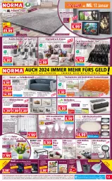 Gazetka promocyjna Norma - Norma - Gazetka - ważna od 22.01 do 22.01.2024 - strona 13 - produkty: auer, batterie, batterien, Bau, Baueimer, Bebe, bilderrahmen, blume, blumen, Blüte, braun, Brille, buch, chefsessel, Coral, creme, decke, Deckel, deckenleuchte, dell, eimer, eis, elle, fernbedienung, früchte, garnitur, gin, Gläser, Holz, Kehrgarnitur, kerze, kissen, kuscheldecke, Läufer, led-deckenleuchte, leds, Leuchte, leuchtmittel, LG, linsen, Mett, mikrofaser, mitteldecke, Mode, Nachtlicht, natur, ndk, orange, reifen, reis, Ria, rosen, Schmetterling, sessel, Sofa, Sofaüberwurf, Spiele, teller, teppich, Ti, Tiere, timer, tisch, tischläufer, Tischwäsche