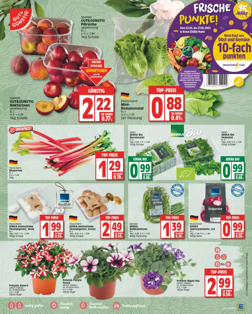 Aktueller Prospekt Edeka - Angebote der Woche - von 22.05 bis 27.05.2023 - strona 5 - produkty: Berger, bio, bohne, bohnen, braun, champignon, champignons, cola, deka, edeka bio, eis, feldsalat, fleisch, Nektar, nektarinen, obst, Obst und Gemüse, petunie, pfirsich, pfirsiche, rhabarber, Romanasalat, rucola, salat, Schal, Schale, Speisezwiebeln, Ti, topf, und gemüse, zwiebel, zwiebeln