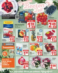 Gazetka promocyjna Edeka - Angebote der Woche - Gazetka - ważna od 27.05 do 27.05.2023 - strona 4 - produkty: ananas, beere, beeren, butter, deka, driscoll's, elle, erdbeere, erdbeeren, gelierzucker, heidelbeere, heidelbeeren, himbeer, himbeere, himbeeren, LG, mac, mango, nordzucker, obst, Pfingstrosen, rezept, rezepte, rosen, sahne, Schal, Schale, Sweet Family, tafeläpfel, teller, Ti, torte, zucker