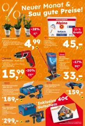 Gazetka promocyjna  - Gazetka - ważna od 06.12 do 06.12.2025 - strona 2 - produkty: akku, Akku-Bohrhammer, akku-bohrschrauber, Akku-Winkelschleifer, akkuschrauber, Blüte, Bohrhammer, Bohrschrauber, bosch, bürste, bürsten, eimer, kraft, ladegerät, ohne akku und ladegerät, orchidee, orchideen, Ria, rwe, Ti, tisch, topf, Winkelschleifer