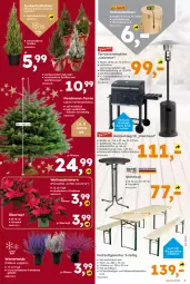 Gazetka promocyjna  - Gazetka - ważna od 06.12 do 06.12.2025 - strona 7 - produkty: auer, eis, flasche, garnitur, grill, grillrost, Holz, holzkohle, holzkohlegrill, Kohlegrill, lack, lebensmittel, LG, natur, piezo-zündung, rückenlehne, tee, Ti, tisch, topf, übertopf, Weihnachtsstern, Zelt, zucker