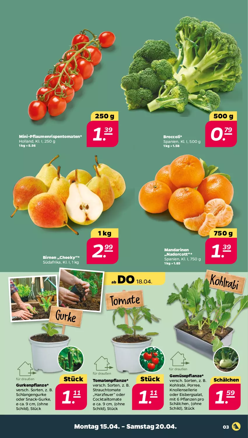 Aktueller Prospekt Netto - Woche 16 - von 15.04 bis 20.04.2024 - strona 3 - produkty: Birnen, broccoli, cocktail, eis, eisbergsalat, elle, gurke, gurken, kohlrabi, mandarine, mandarinen, pflanze, pflanzen, pflaume, pflaumen, Rauch, rispentomaten, salat, snack, tomate, tomaten