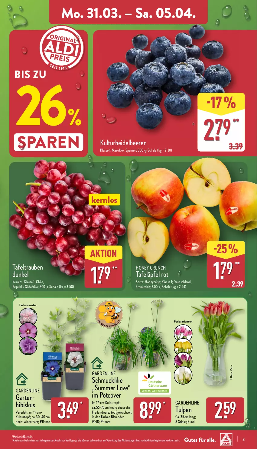 Aktueller Prospekt Aldi Nord - Von Montag - von 31.03 bis 05.04.2025 - strona 3 - produkty: beere, beeren, Garten, gin, heidelbeere, heidelbeeren, kulturtopf, pflanze, Ria, Schal, Schale, Schmuck, tafeläpfel, tafeltrauben, Ti, topf, trauben, Vase, ZTE