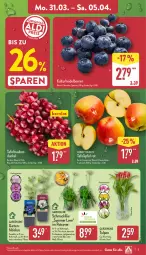 Gazetka promocyjna Aldi Nord - Von Montag - Gazetka - ważna od 05.04 do 05.04.2025 - strona 3 - produkty: beere, beeren, Garten, gin, heidelbeere, heidelbeeren, kulturtopf, pflanze, Ria, Schal, Schale, Schmuck, tafeläpfel, tafeltrauben, Ti, topf, trauben, Vase, ZTE