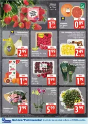 Gazetka promocyjna Edeka - Prospekte - Gazetka - ważna od 18.01 do 18.01.2025 - strona 8 - produkty: beere, beeren, Blutorange, driscoll's, eis, erdbeere, erdbeeren, grapefruit, himbeer, himbeere, himbeeren, Koriander, leine, orange, orangen, payback, reis, Ria, tee, tesa, Ti, topf, ZTE