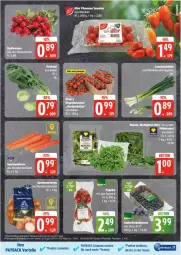 Gazetka promocyjna Edeka - Prospekte - Gazetka - ważna od 18.01 do 18.01.2025 - strona 9 - produkty: beere, beeren, bio, blattspinat, cola, coupon, coupons, deka, edeka bio, eier, eis, heidelbeere, heidelbeeren, kohlrabi, möhren, paprika, payback, pflaume, pflaumen, radieschen, reis, rucola, speisemöhren, spinat, tesa, Ti, tomate, tomaten, ZTE