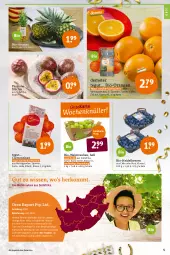Gazetka promocyjna Tegut - Angebote der Woche - Gazetka - ważna od 31.12 do 31.12.2021 - strona 7 - produkty: ananas, angebot, angebote, Bau, beere, beeren, bio, Bio-Wein, clementinen, dekoration, eis, elle, früchte, heidelbeere, heidelbeeren, mac, obst, orange, orangen, reis, Schal, Schale, Ti, trauben, wasser, wein