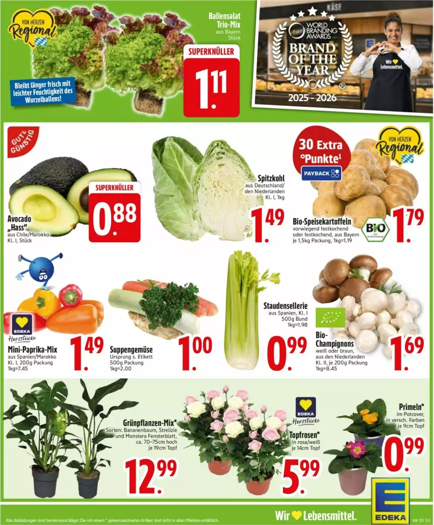 Aktueller Prospekt Edeka - Prospekte - von 05.01 bis 10.01.2026 - strona 5 - produkty: banane, bananen, Bau, bio, braun, champignon, champignons, deka, eis, fenster, Grünpflanzen, kartoffel, kartoffeln, monster, Monstera, paprika, pflanze, pflanzen, Primeln, rel, rosen, speisekartoffeln, spitzkohl, stauden, suppe, suppen, Ti, topf