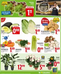 Gazetka promocyjna Edeka - Prospekte - Gazetka - ważna od 10.01 do 10.01.2026 - strona 5 - produkty: banane, bananen, Bau, bio, braun, champignon, champignons, deka, eis, fenster, Grünpflanzen, kartoffel, kartoffeln, monster, Monstera, paprika, pflanze, pflanzen, Primeln, rel, rosen, speisekartoffeln, spitzkohl, stauden, suppe, suppen, Ti, topf