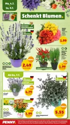 Gazetka promocyjna Penny - Prospekte - Gazetka - ważna od 09.07 do 09.07.2022 - strona 20 - produkty: Blüte, chili, eis, lavendel, reis, Ria, rosen, Ti, topf, usb, ZTE