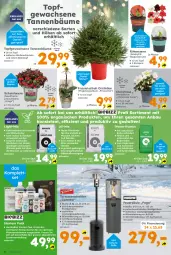 Gazetka promocyjna  - Gazetka - ważna od 09.11 do 09.11.2024 - strona 4 - produkty: auer, Bau, beere, beeren, bio, blume, blumen, eis, elle, ente, erde, flasche, Garten, hipp, kraft, LG, orchidee, pflanze, pflanzen, pflanzerde, piezo-zündung, Ria, ritter, rum, rwe, sac, schutzhülle, Ti, topf, und gemüse