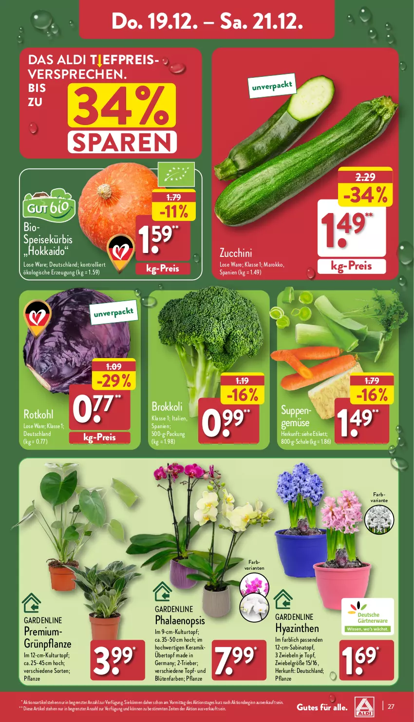 Aktueller Prospekt Aldi Nord - Von Montag - von 16.12 bis 21.12.2024 - strona 27 - produkty: aldi, bio, Blüte, Brei, brokkoli, eis, Germ, gin, kulturtopf, Kürbis, LG, pflanze, phalaenopsis, reis, Ria, rotkohl, Schal, Schale, suppe, suppen, Ti, topf, trolli, übertopf, ZTE, zucchini, zwiebel, zwiebeln