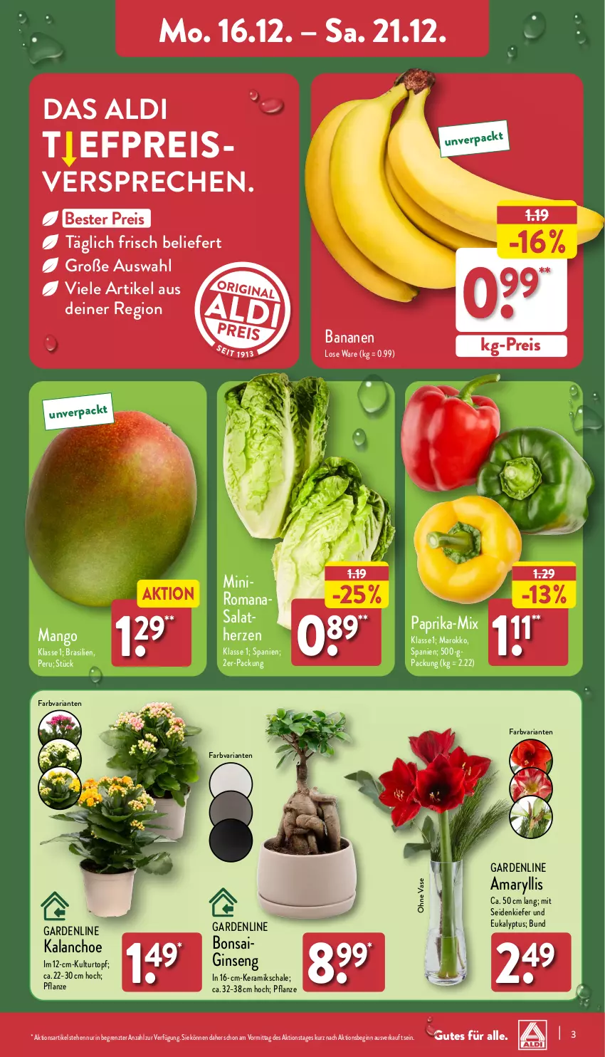 Aktueller Prospekt Aldi Nord - Von Montag - von 16.12 bis 21.12.2024 - strona 3 - produkty: aldi, banane, bananen, Blüte, Brei, eis, gin, Kalanchoe, kulturtopf, mango, paprika, pflanze, reis, Ria, Romanasalat, salat, salatherzen, Schal, Schale, Ti, topf, Vase, ZTE