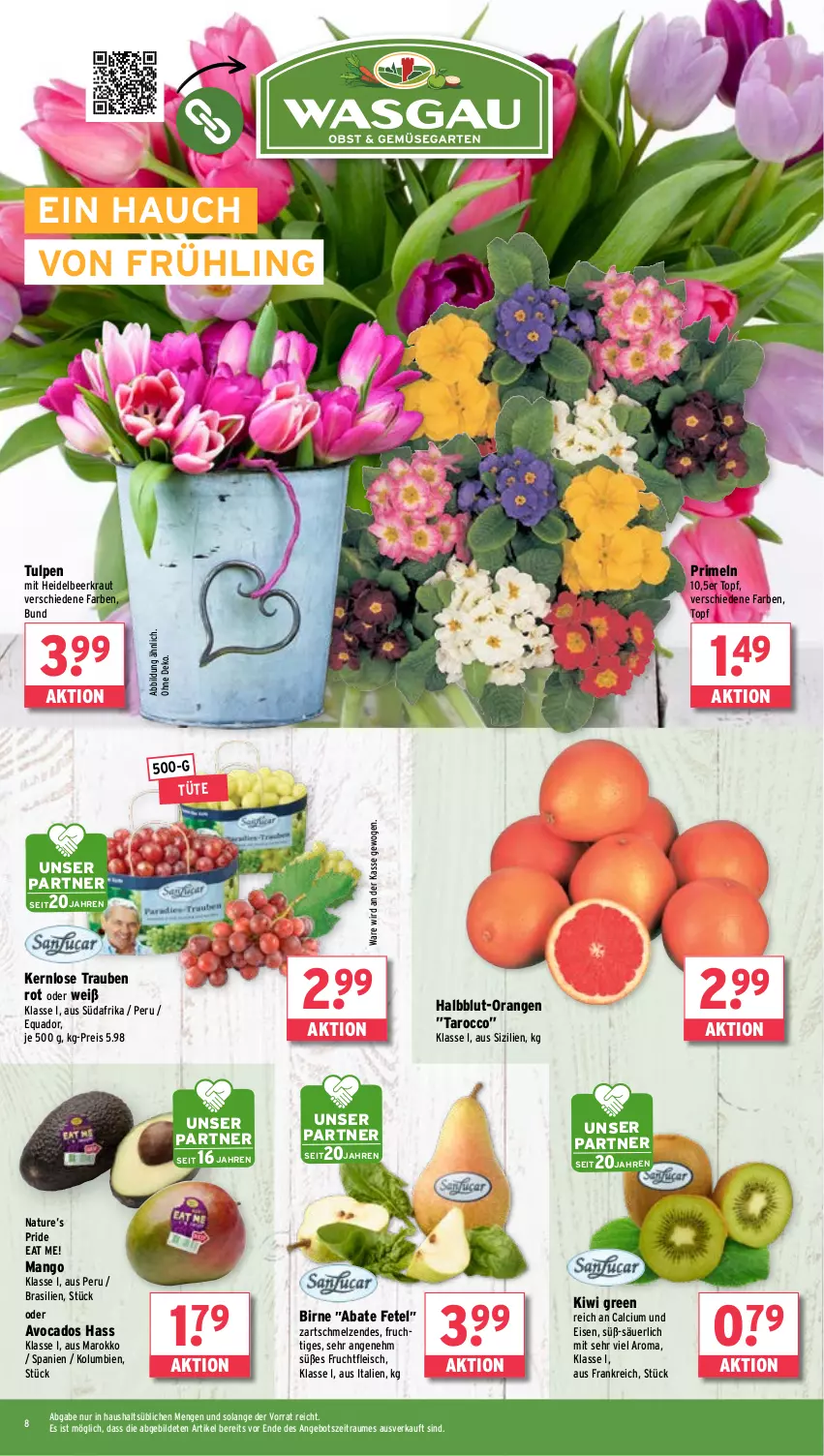 Aktueller Prospekt Wasgau - von 03.02 bis 08.02.2025 - strona 8 - produkty: angebot, avocado, avocados, Calcium, eis, fleisch, frucht, fruchtfleisch, kiwi, Kraut, mango, natur, orange, orangen, Primeln, quad, reis, Ti, topf, trauben, Tüte