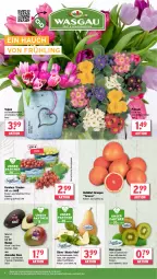 Gazetka promocyjna Wasgau - Gazetka - ważna od 08.02 do 08.02.2025 - strona 8 - produkty: angebot, avocado, avocados, Calcium, eis, fleisch, frucht, fruchtfleisch, kiwi, Kraut, mango, natur, orange, orangen, Primeln, quad, reis, Ti, topf, trauben, Tüte